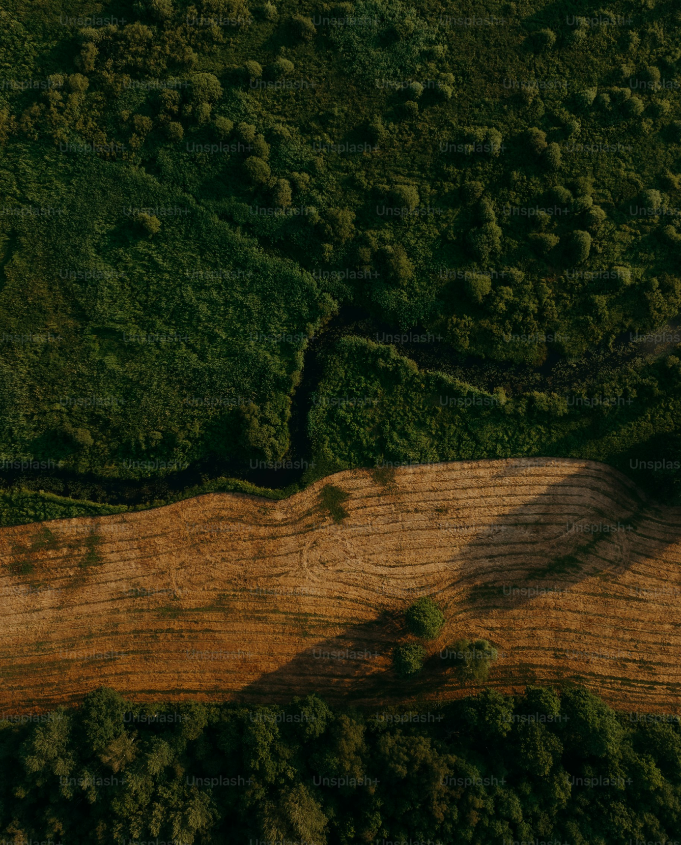 MIDC Land 1